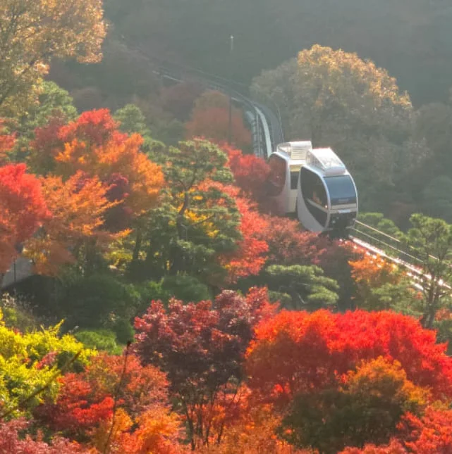 화담숲 풍경4