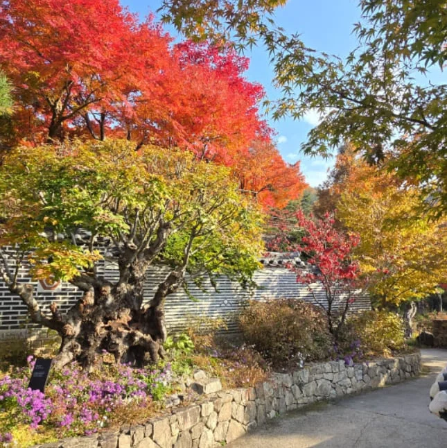 화담숲 풍경1